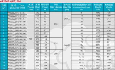 【津奧特250QJR型100方流量溫泉熱水泵_4寸口徑耐高溫潛水泵_變頻】價格_廠家_圖片 -