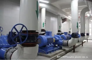 紫薇社區供暖首日 暖意陣陣，關懷滿滿